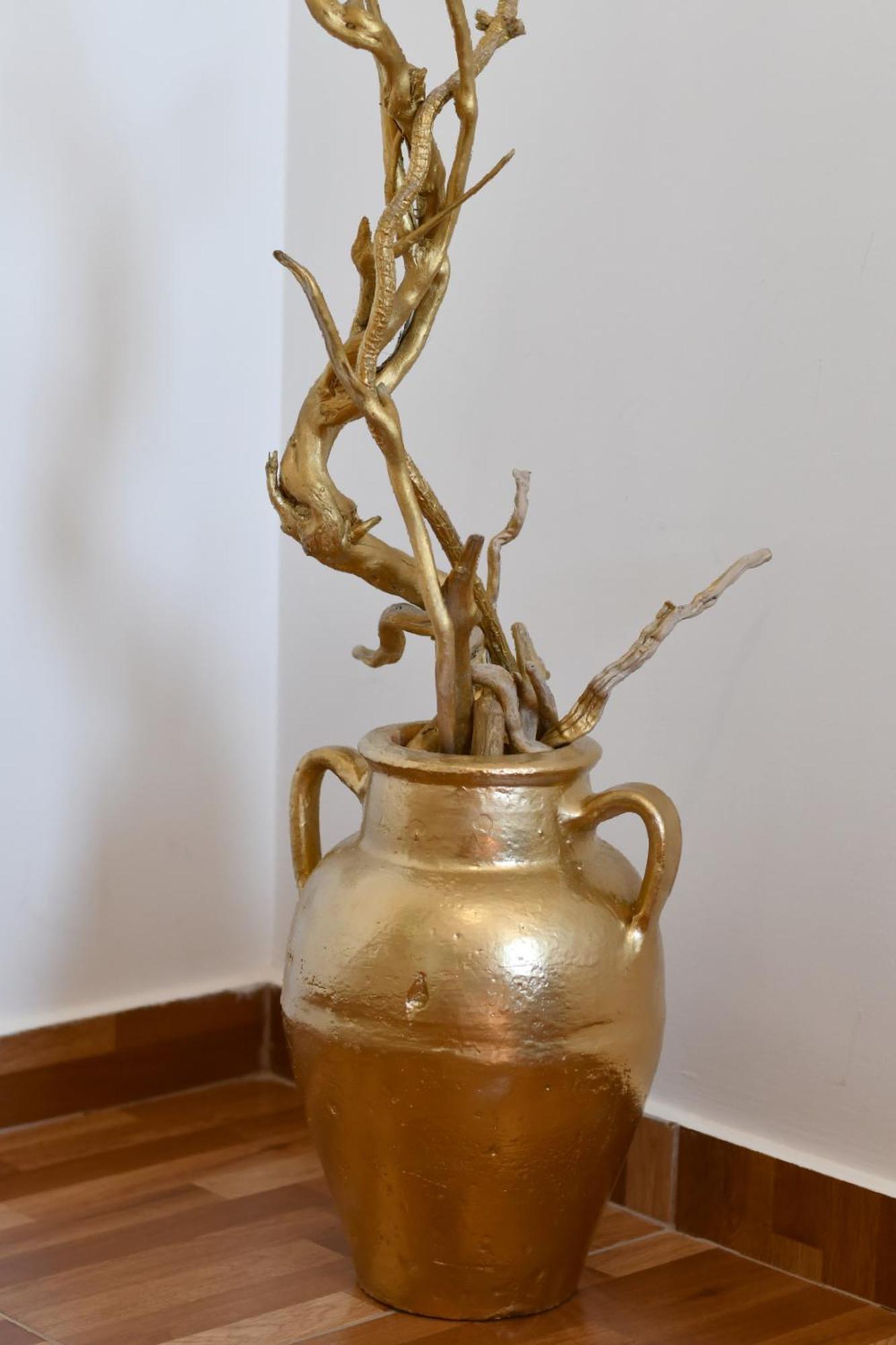 הימארה Garden Rooms מראה חיצוני תמונה