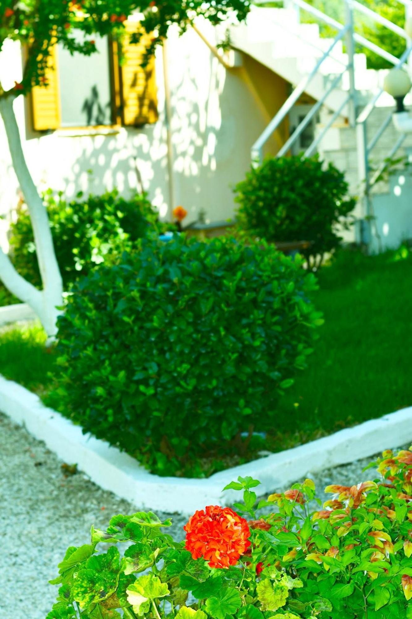 הימארה Garden Rooms מראה חיצוני תמונה